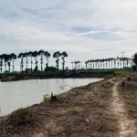 Bán 2 Vùng Nuôi tại Xã Nhơn Mỹ và Xã Long Giang, T. An Giang rộng đến hơn 40ha chỉ 108.1 tỷ đồng - Ảnh thu nhỏ 10
