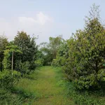 Bán đất vườn 1000m² tại Đồng Nai, gần KCN Becamex - Ảnh thu nhỏ 3