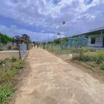 Bán lô đất 262m² Khánh Hiệp, Cần Thơ - Ảnh thu nhỏ 5