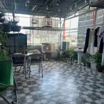 Bán nhà 3 tầng 4 PN 60 m² Quy Nhơn - Ảnh thu nhỏ 5
