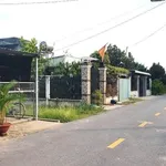 Bán đất vườn 1000m2 sổ sẵn giá 700 triệu gần KCN, cách QL13 500m, Bình Dương - Ảnh thu nhỏ 3