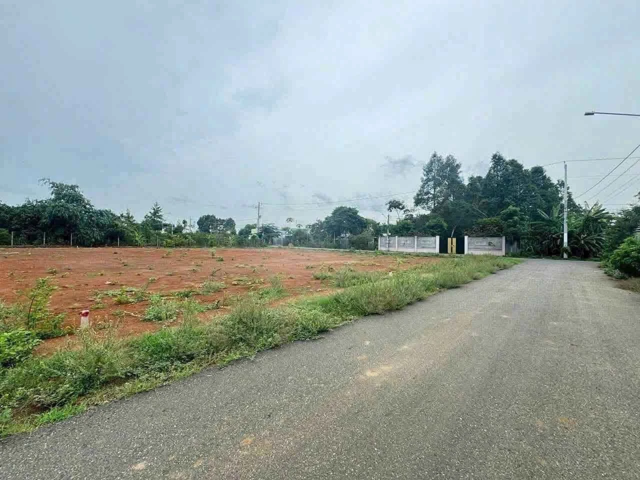 Bán đất mặt tiền Đường 13b Hòa Long 430m², giá 3,39 tỷ - Ảnh 1