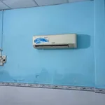 Cho thuê nhà nguyên căn 48m² 1 phòng ngủ Trần Phú 2,2 triệu/tháng - Ảnh thu nhỏ 2
