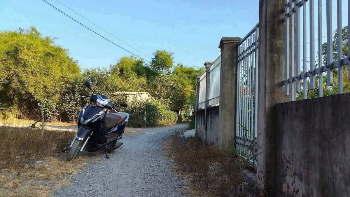 Bán đất nền 141,5m2 giá 289 triệu sau chợ Mỹ Nhơn, Ba Tri - Ảnh thu nhỏ 2