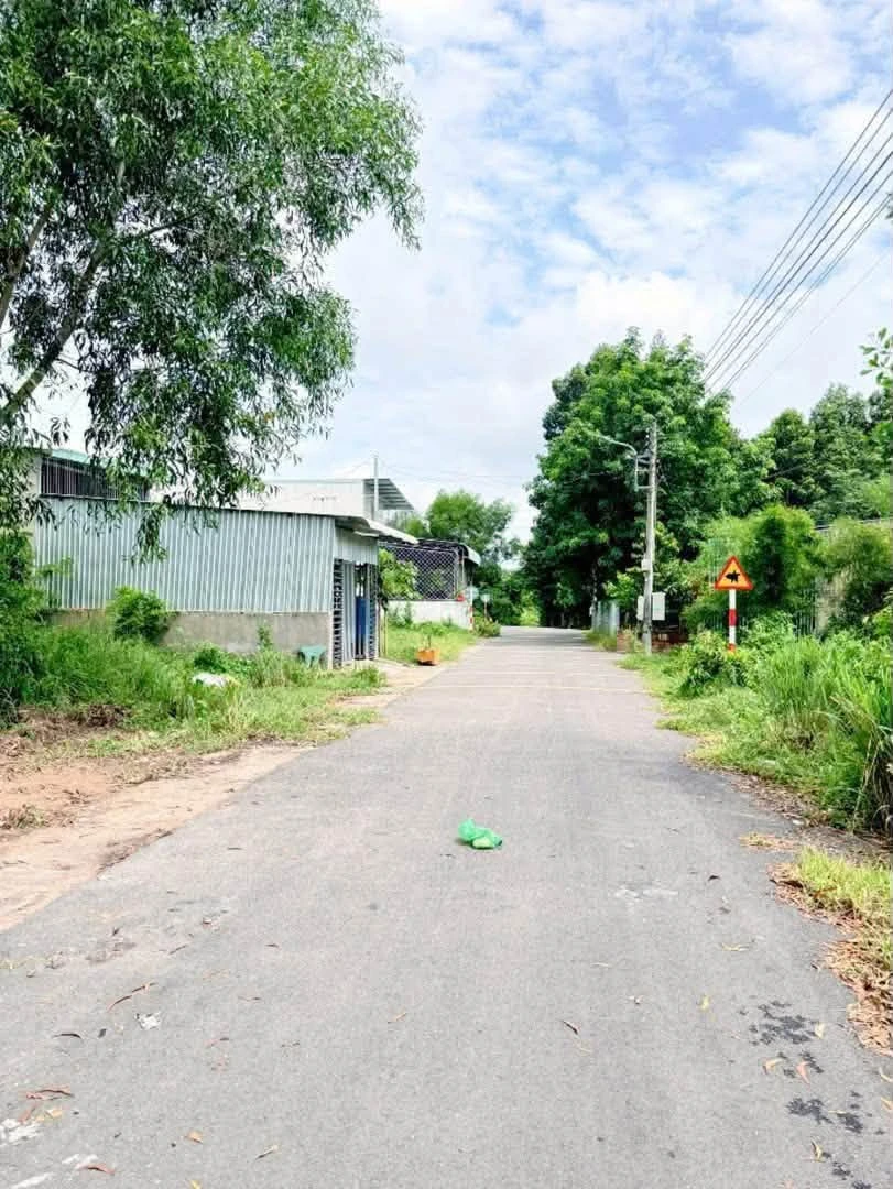 Bán lô đất Phú An 210m² giá 1 tỷ 600 - Ảnh thu nhỏ 2