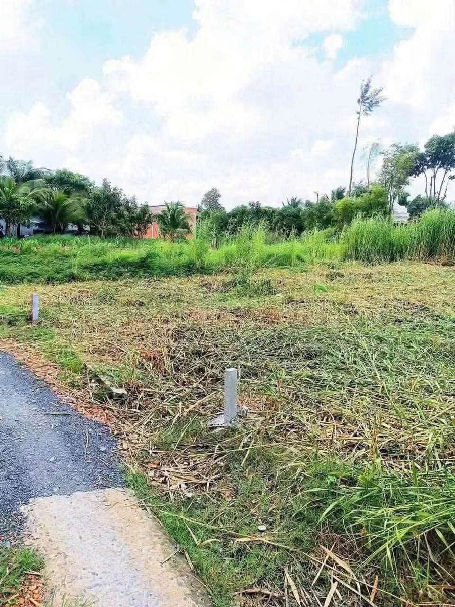 Bán đất thổ 100m² Bến Lức Tây Ninh 650 triệu - Ảnh thu nhỏ 3