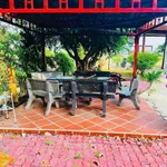 Bán đất vườn 1.333m² Thôn 5 Hàm Liêm 1 tỷ 500 - Ảnh thu nhỏ 5