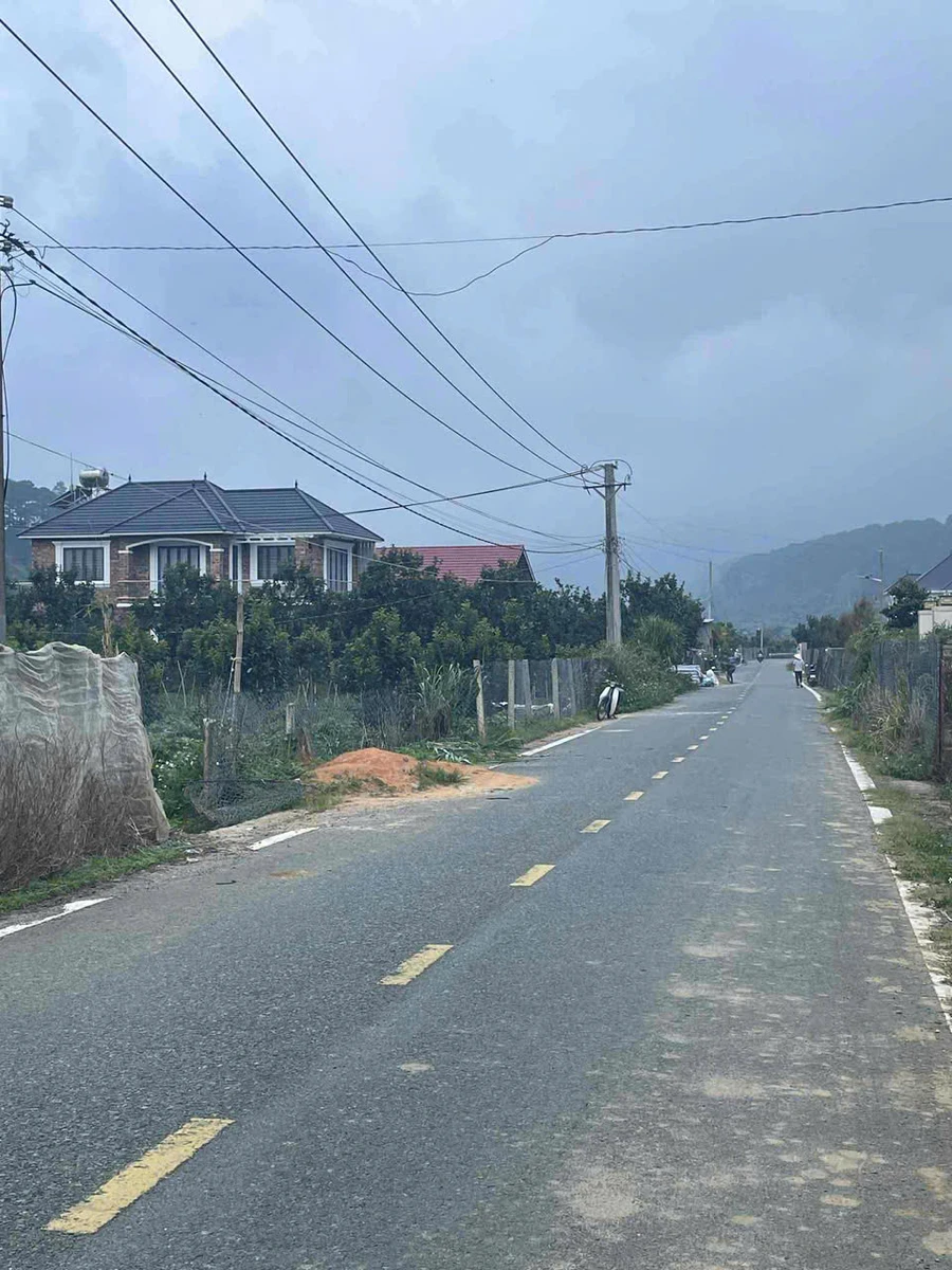 Bán đất thổ vườn có cây ăn trái - đất chính chủ tại Xã D'ran, Lâm Đồng, DT 2.156m2 - Ảnh thu nhỏ 4