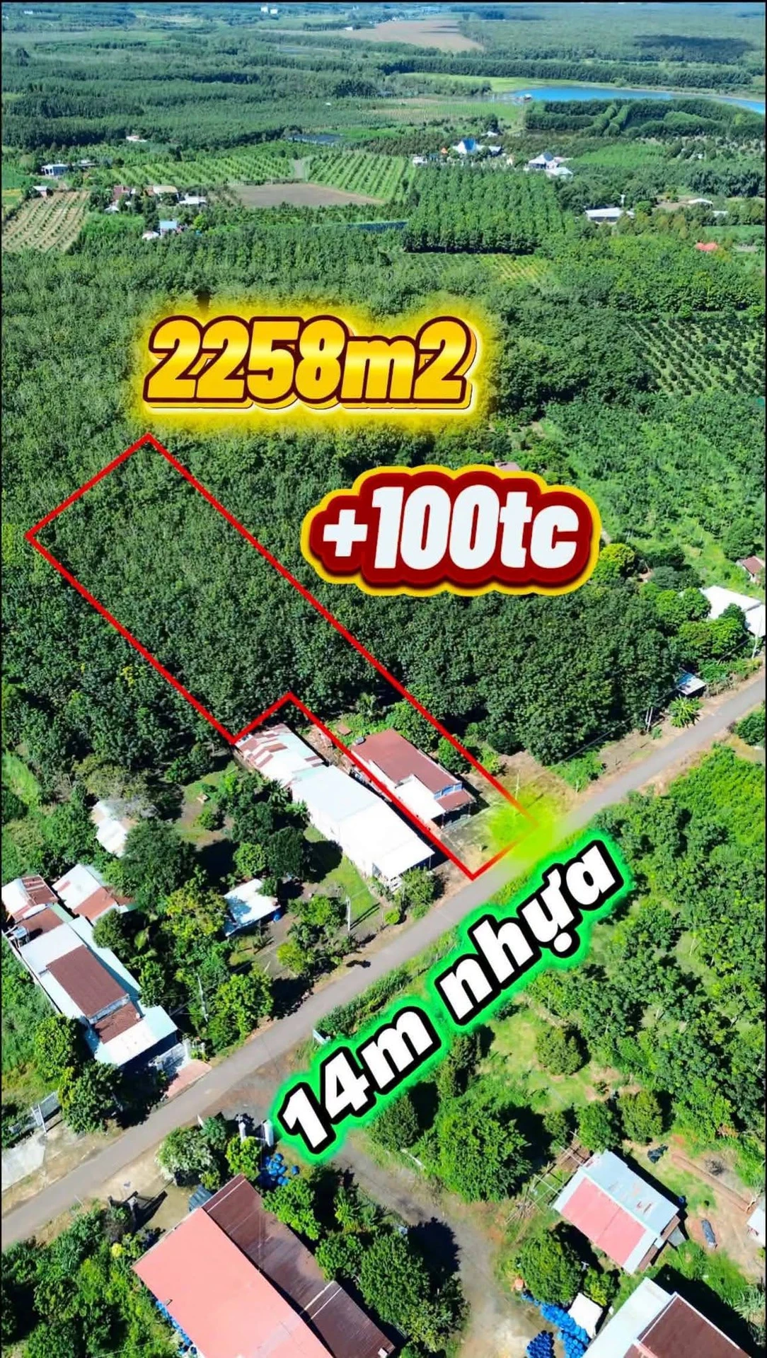Bán nhà 3 phòng ngủ vườn cao su Bù Đốp 2258m2 - Ảnh 1