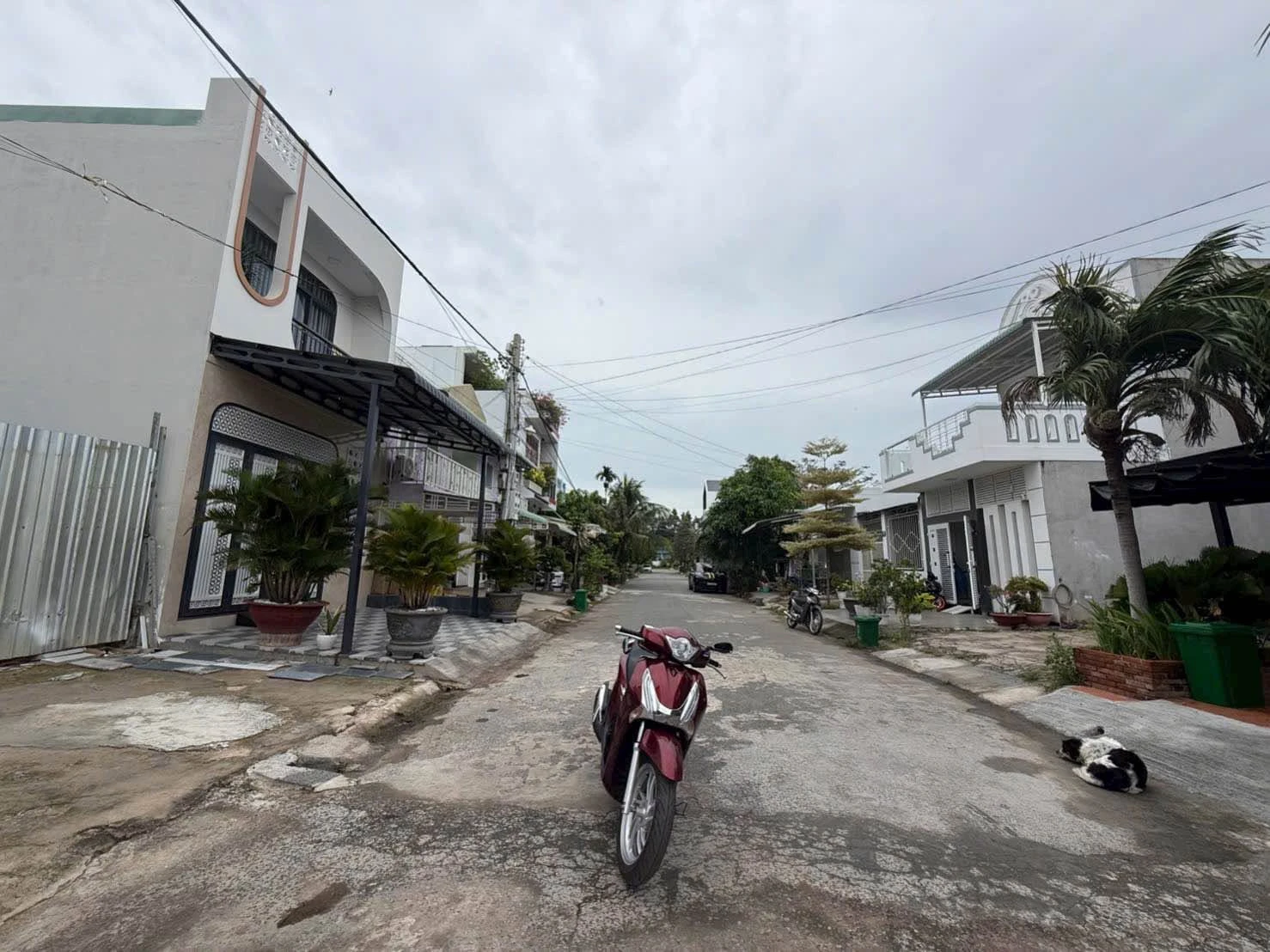 Bán lô đất mặt tiền 85 m² KDC Lê Duẫn Phan Thiết - Ảnh 1