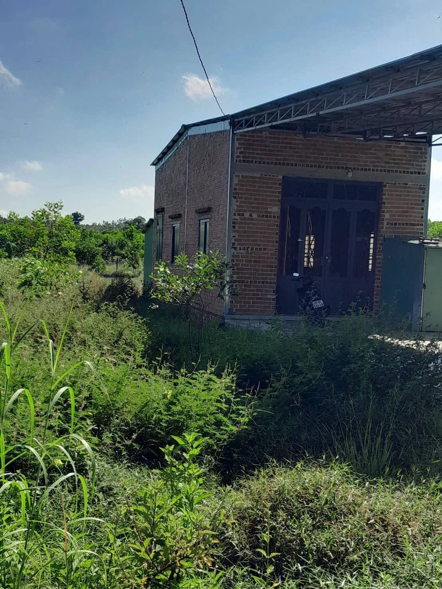 Bán nhà 1 phòng ngủ 310m² Bình Tân 270 triệu - Ảnh thu nhỏ 3