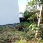 Bán đất CLN 332,9 m² Nha Trang 850 triệu - Ảnh thu nhỏ 3