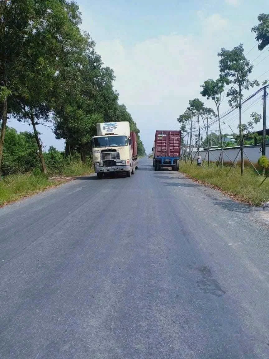 Bán đất mặt tiền 990m² Xã Lương Hòa, Long An - Ảnh 1