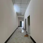 Bán nhà 5x24m Khu phố Trường An, Phường Long Hoa - Ảnh thu nhỏ 4