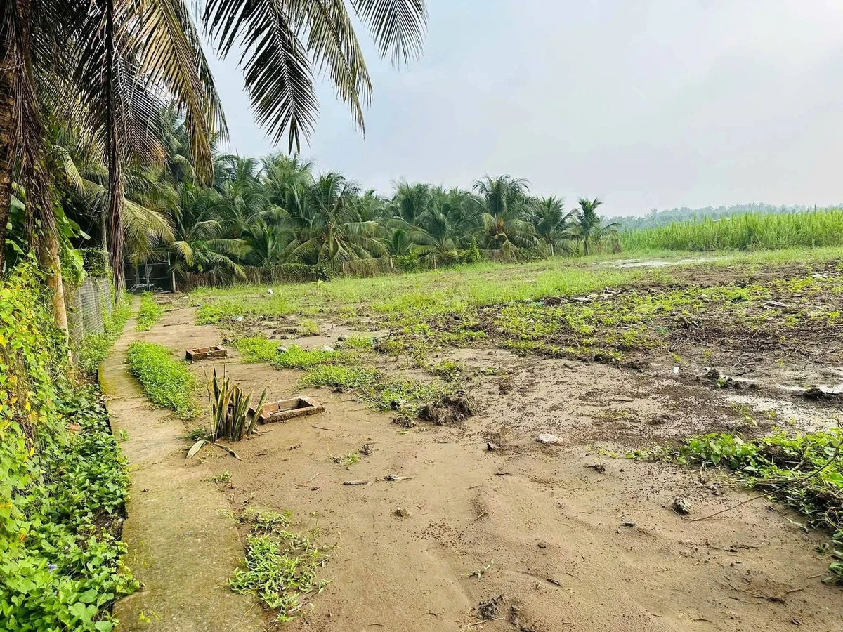 Bán đất thổ cư 216m² Bình Phan, Chợ Gạo, Tiền Giang cũ giá 280 triệu - Ảnh thu nhỏ 4