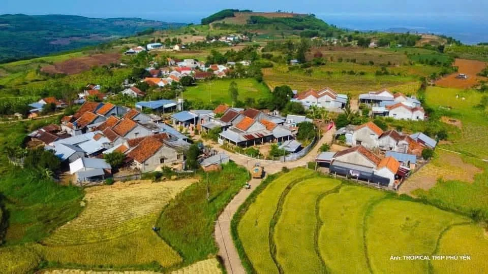 Bán đất 1200m² Vân Hoà, Phú Yên, giá 3 tỷ - Ảnh thu nhỏ 3