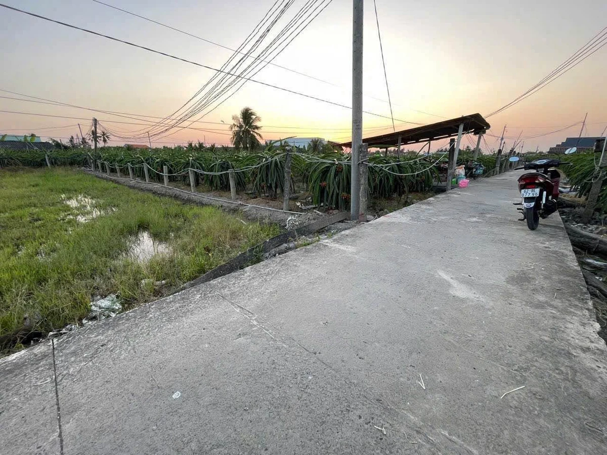Bán đất thổ cư mặt tiền đường Bờ Sen 5x27m, xã Tầm Vu, Tây Ninh giá 420 triệu - Ảnh thu nhỏ 3
