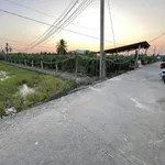 Bán đất thổ cư mặt tiền đường Bờ Sen 5x27m, xã Tầm Vu, Tây Ninh giá 420 triệu - Ảnh thu nhỏ 3