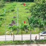 Bán đất 2 mặt tiền 4000m² gần KCN Hòa Phú, Đắk Lắk giá 1,75 tỷ - Ảnh thu nhỏ 3