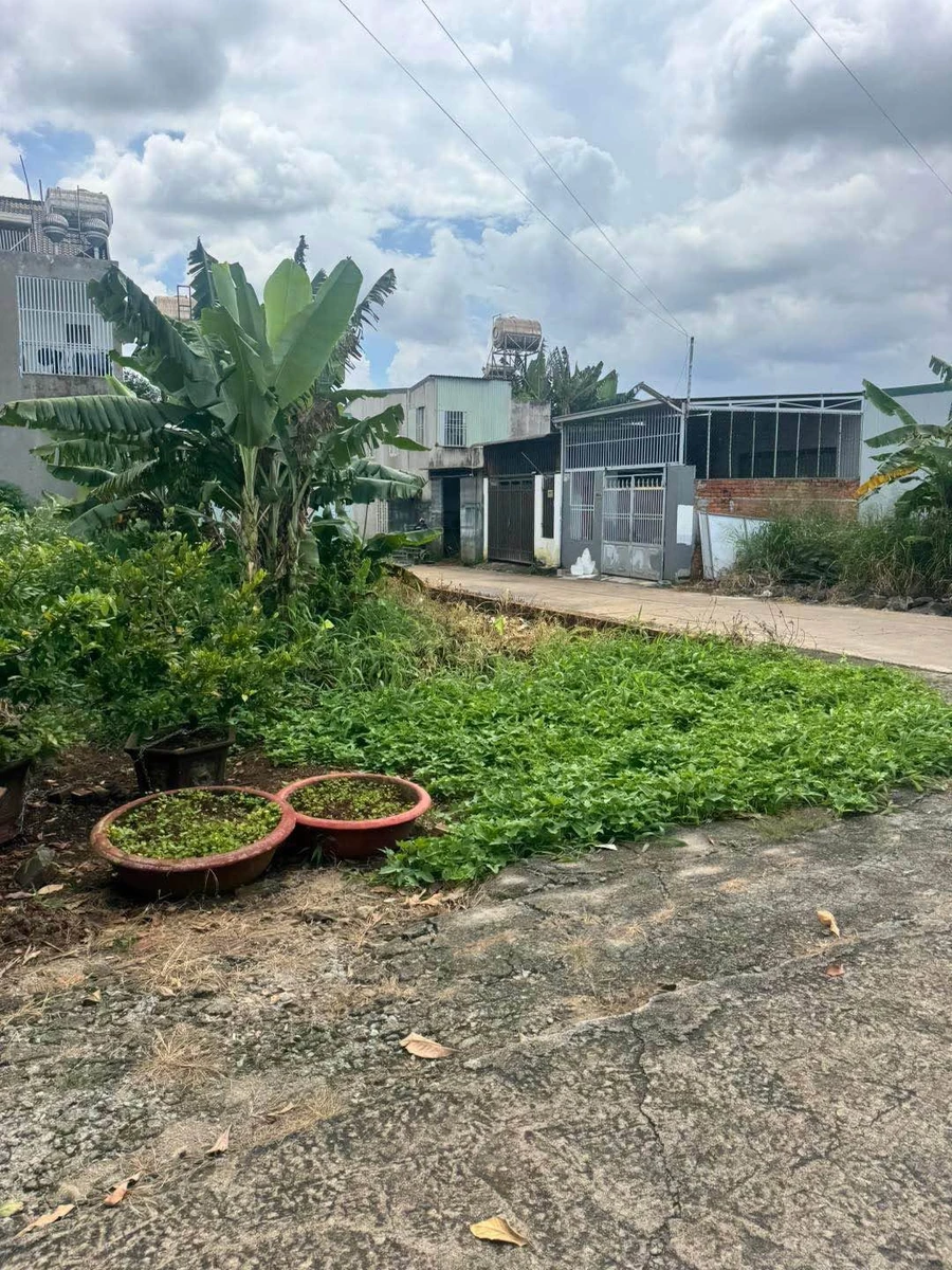 Bán đất hẻm Nguyễn Hữu Thấu 4,9m x 20m, 98m² Thủ Đức - Ảnh thu nhỏ 2