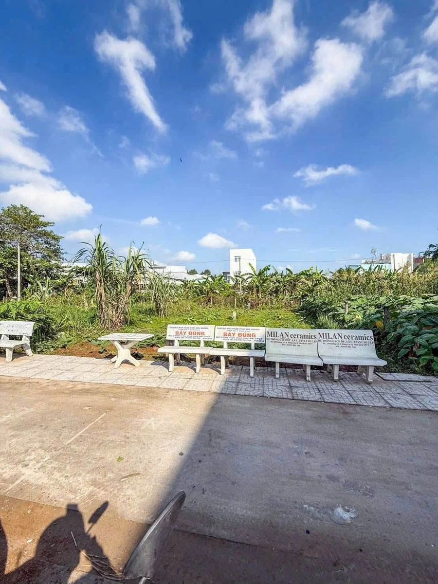Bán nền đất 100m2 Trần Vĩnh Kiệt Quận 1 - Ảnh thu nhỏ 4