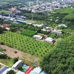 Bán đất thổ cư 50m² Chơn Thành, Bình Dương 499 triệu - Ảnh thu nhỏ 4