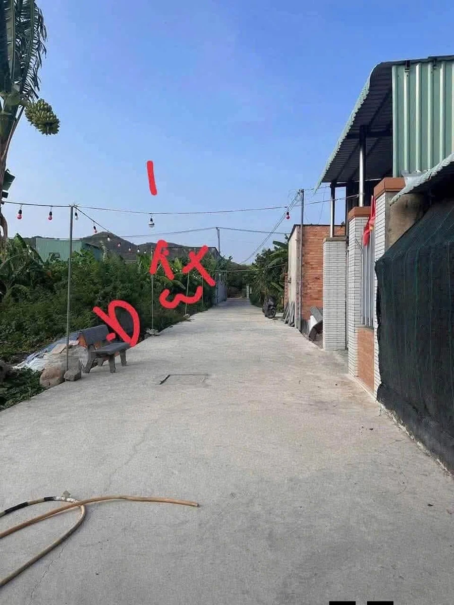 Bán đất nền Quận 12, 100m², 1 tỷ 535 triệu - Ảnh 1