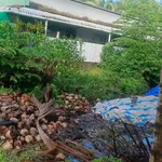 Bán đất 738m2 có 300m2 thổ cư gần KCN Giao Long - 2,6 tỷ - Ảnh thu nhỏ 1