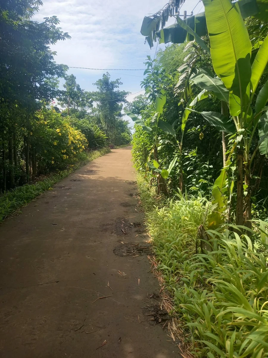 Bán đất Sông Ray Cẩm Mỹ 1000m2 sổ riêng 350 triệu - Ảnh 1