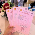 7tỷ view trường học giá cực rẻ thời điểm này, đón sóng Vinhome Yên Thường - Ảnh thu nhỏ 1