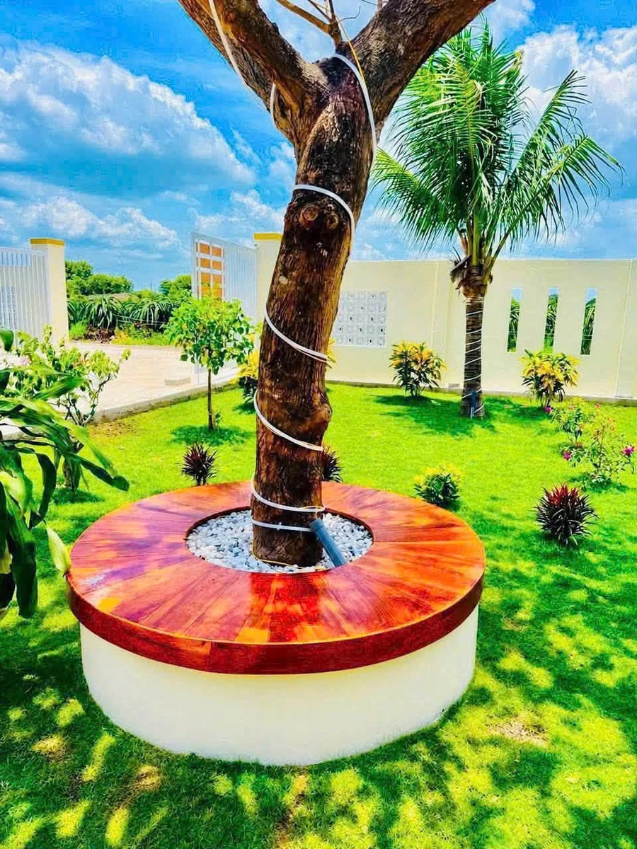 Bán nhà vườn 1.600m² tại Hàm Chính, Lâm Đồng, 1 tỷ 790 triệu - Ảnh thu nhỏ 3