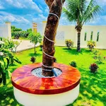 Bán nhà vườn 1.600m² tại Hàm Chính, Lâm Đồng, 1 tỷ 790 triệu - Ảnh thu nhỏ 3
