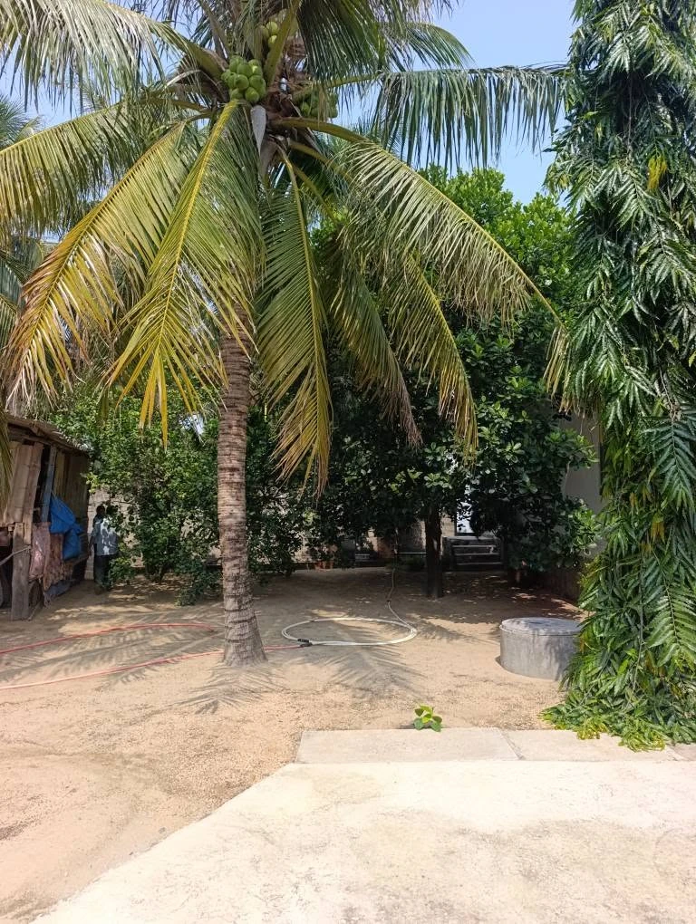 Bán đất vườn 400m² Long Bình 1, 1 tỷ 9xx triệu - Ảnh thu nhỏ 2