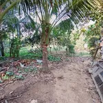 Bán đất Bình Lợi Vĩnh Cửu 412m2 sổ riêng 2 tỷ 1 - Ảnh thu nhỏ 3