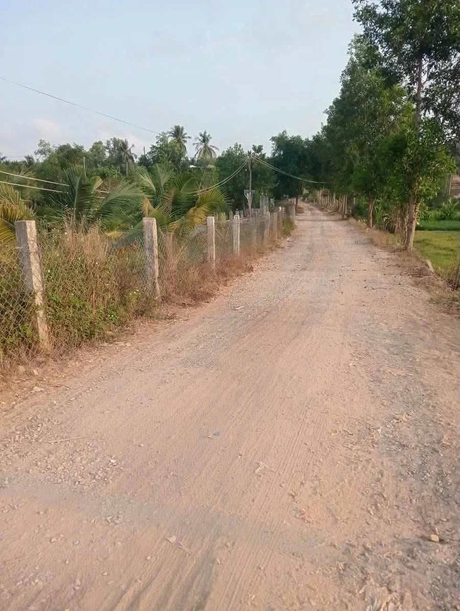 Bán mảnh vườn 1261m² trồng dừa Hàm Thuận, Lâm Đồng 5xx triệu - Ảnh thu nhỏ 4
