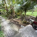 Bán nền 345m² phường Phú Hưng, Bình Chánh 270 triệu - Ảnh thu nhỏ 2