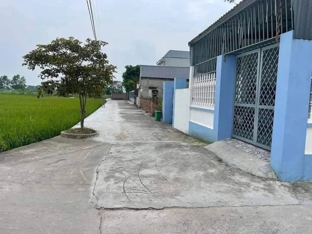 Bán lô đất 91m² Tân Hồng, Hải Phòng, 1 tỷ - Ảnh 1