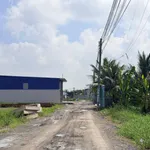 Bán đất Đức Hoà Đông 230m² 950 triệu - Ảnh thu nhỏ 3