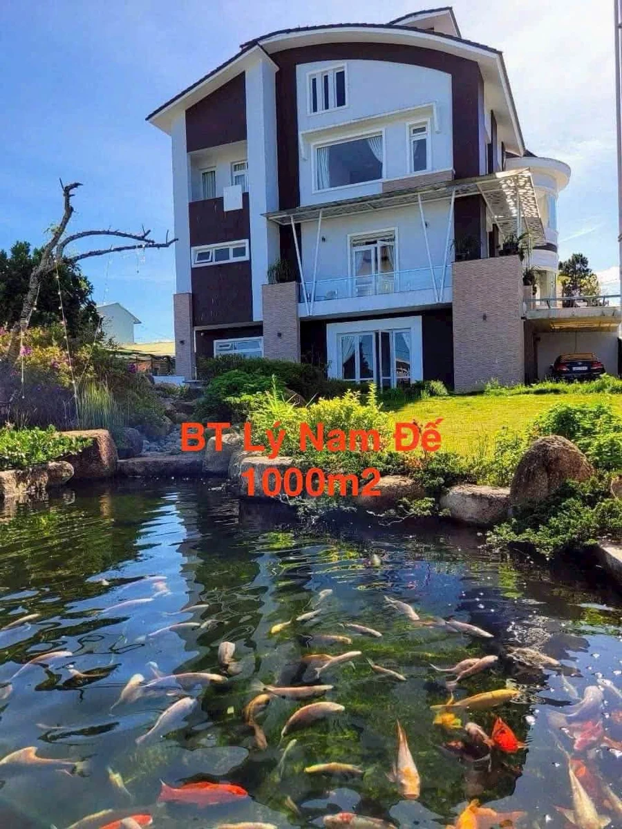 Bán biệt thự 1000m2 sân vườn, 2 mặt tiền Đà Lạt - Ảnh 1