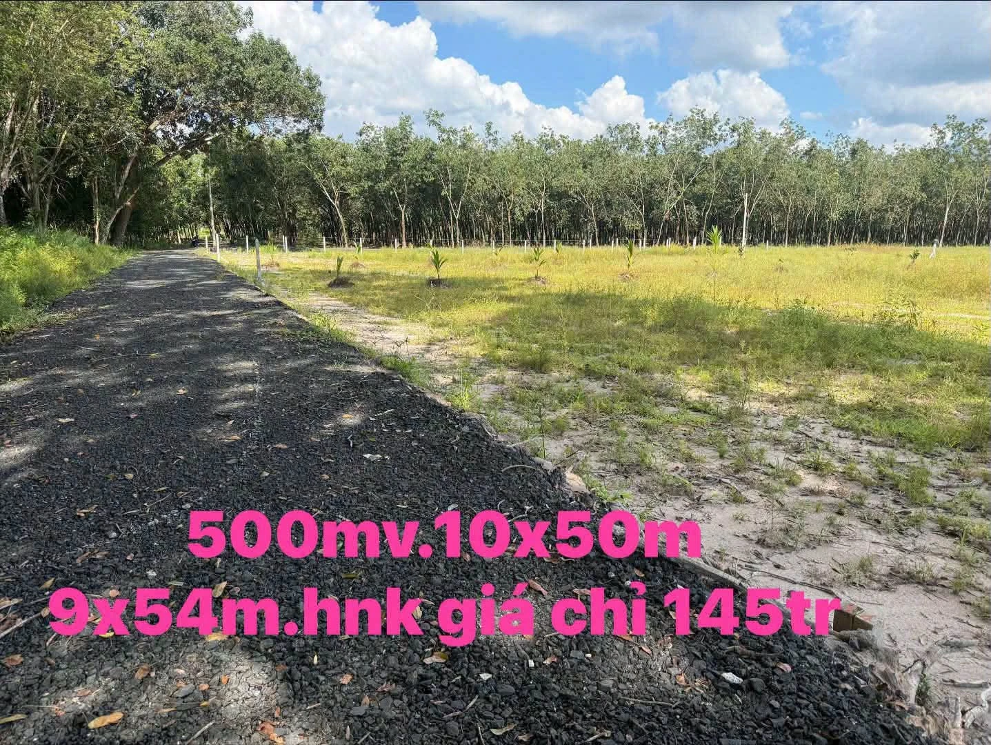 Bán đất Bình Minh Bình Tân, 500m² giá 145-250 triệu - Ảnh 1