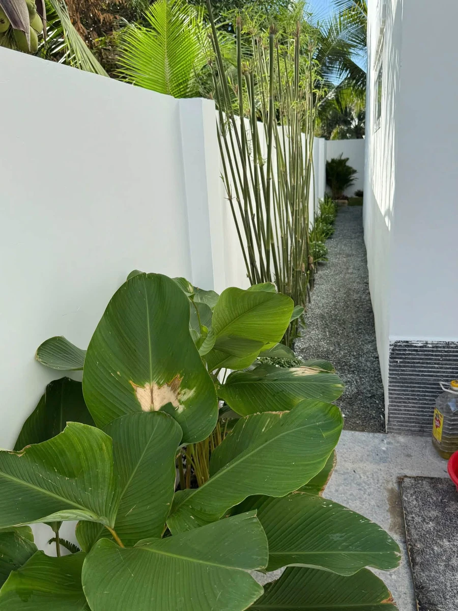 Bán biệt thự vườn 231m2 full nội thất Diên Sơn 3 tỷ 450 triệu - Ảnh thu nhỏ 4