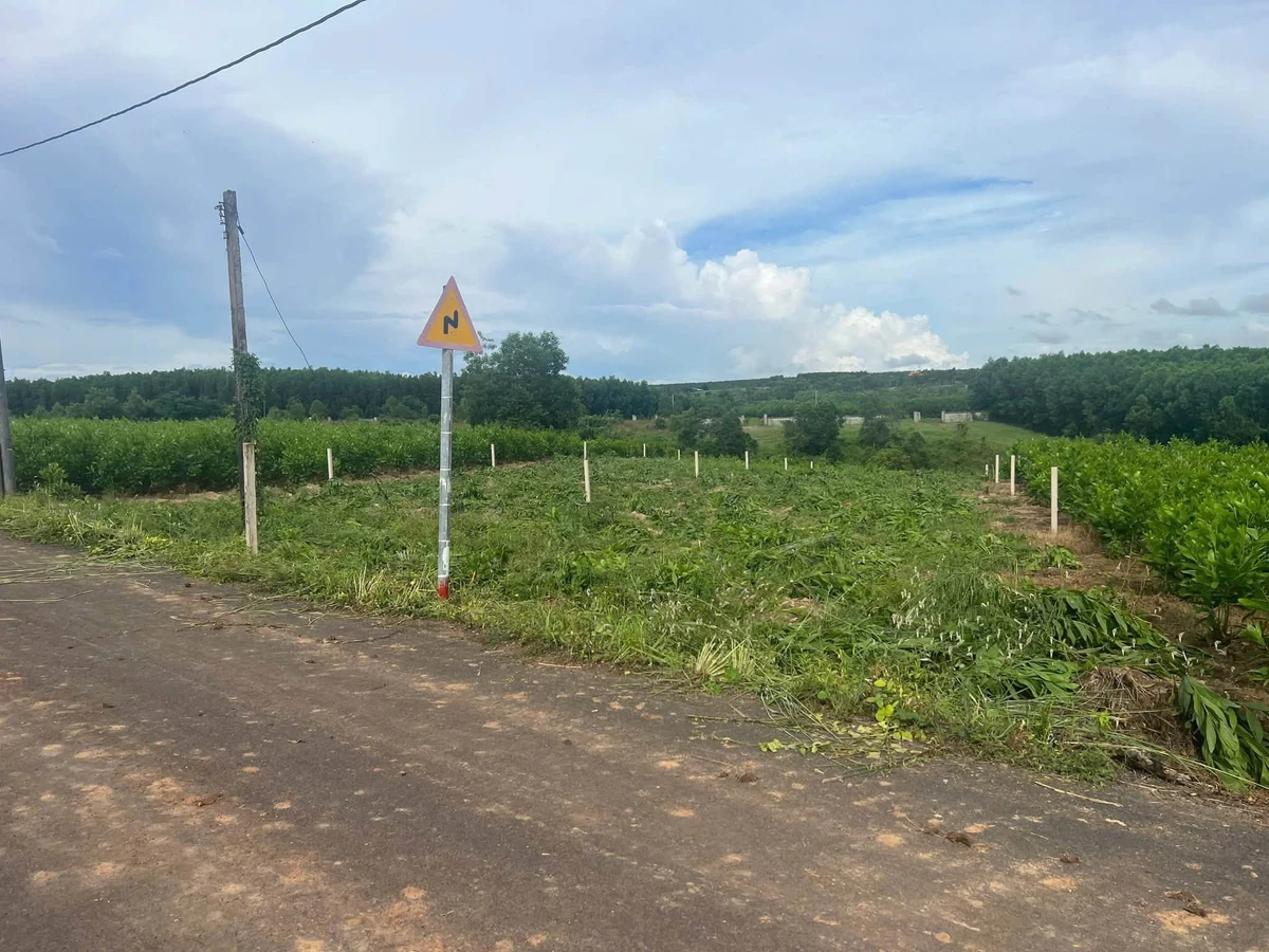 Bán đất 1200m2, 650tr/m2 tại Phường Hồ Tràm - Ảnh 1
