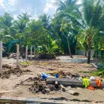 Bán đất Củ Chi 280m2 gần QL60, giá 595 triệu - Ảnh thu nhỏ 3