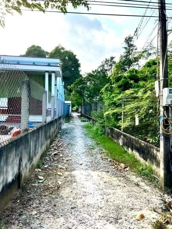 Bán nền đất hẻm ôtô 136,5 m² Trà Vinh 280 triệu