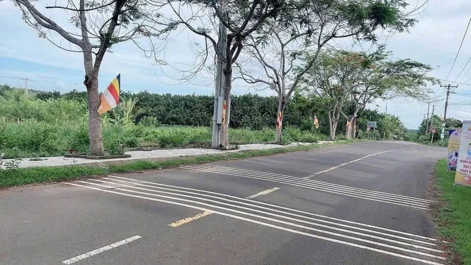 Bán đất 150m² sổ riêng tại Dầu Giây, Đồng Nai, 869 triệu - Ảnh thu nhỏ 3