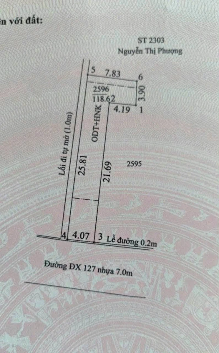 Bán đất Tân An Thủ Dầu Một 65 m², 1 tỷ 750 triệu - Ảnh thu nhỏ 4