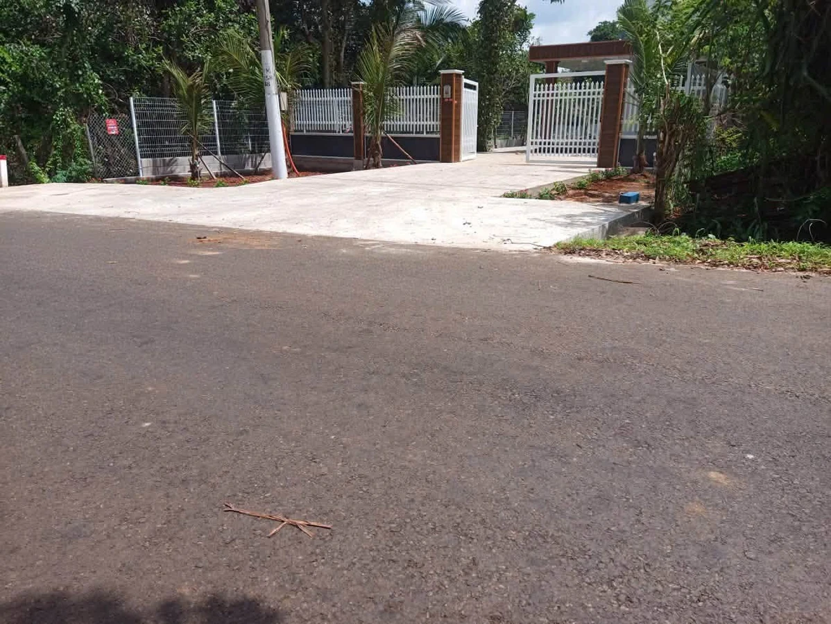 Nhà vườn trái cây 1000m2, 2.3 tỷ Bình Gĩa - Ảnh thu nhỏ 5