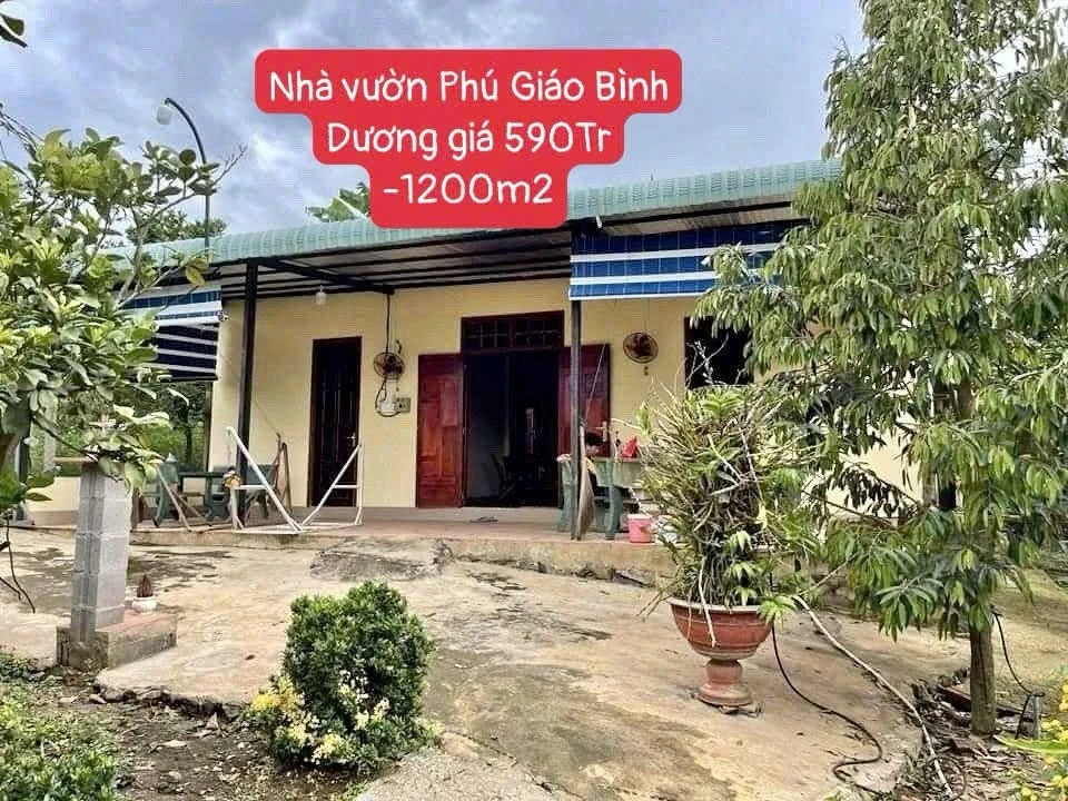 Bán đất vườn Phú Giáo 1.200m² có nhà cấp 4 590 triệu - Ảnh 1