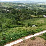 Bán 1017m² đất Tân Hà Lâm Đồng view sân bay 750 triệu - Ảnh thu nhỏ 1