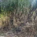 Bán đất 85m² hẻm Phạm Văn Đồng, Pleiku, 5 tỷ - Ảnh thu nhỏ 3